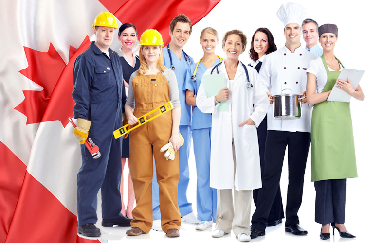 Chương trình định cư Canada tại nhiều diện đa dạng và nhiều ngành nghề thiếu hụt lao động tại Canada.